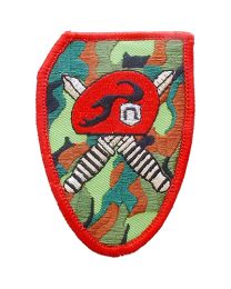 Military Patch: Special Forces Beret
