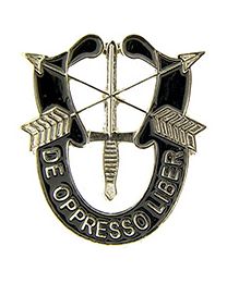 Military Pin: Army Special Forces