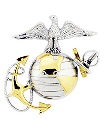 Military Pin: USMC Eagle Globe & Anchor 2 Tone