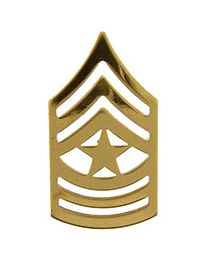 Military Pin: Army Sergeant Major E9