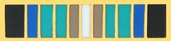 military and police store: military and police store: military ribbon: antarctica service