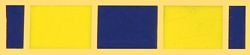 military and police store: military and police store: military ribbon: usn expeditionary