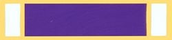 military and police store: military and police store: military ribbon: purple heart