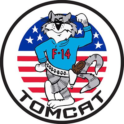 Military Patch: Tom Cat