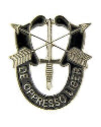Military Pin: Army Special Forces