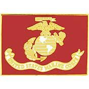 Military Pin: USMC Eagle Globe & Anchor Rectangle
