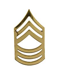 Military Pin: Army Master Sergeant E8