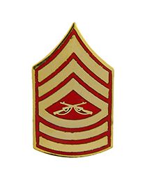 Military Pin: USMC Master Sgt. E8