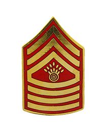 Military Pin: USMC Master Gunnery Sgt. E9